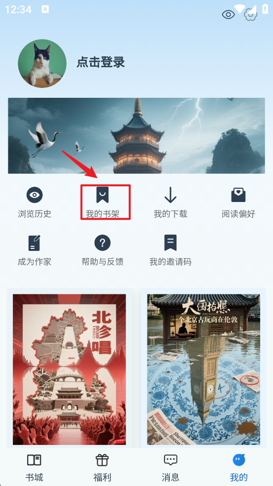 辰思小说