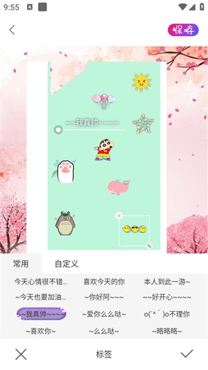 ProMovie专业摄像机