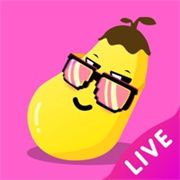 东京直播下载官方版1.2.5