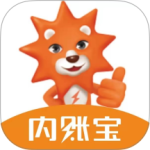 内账宝(内账管理工具)软件v3.9.7