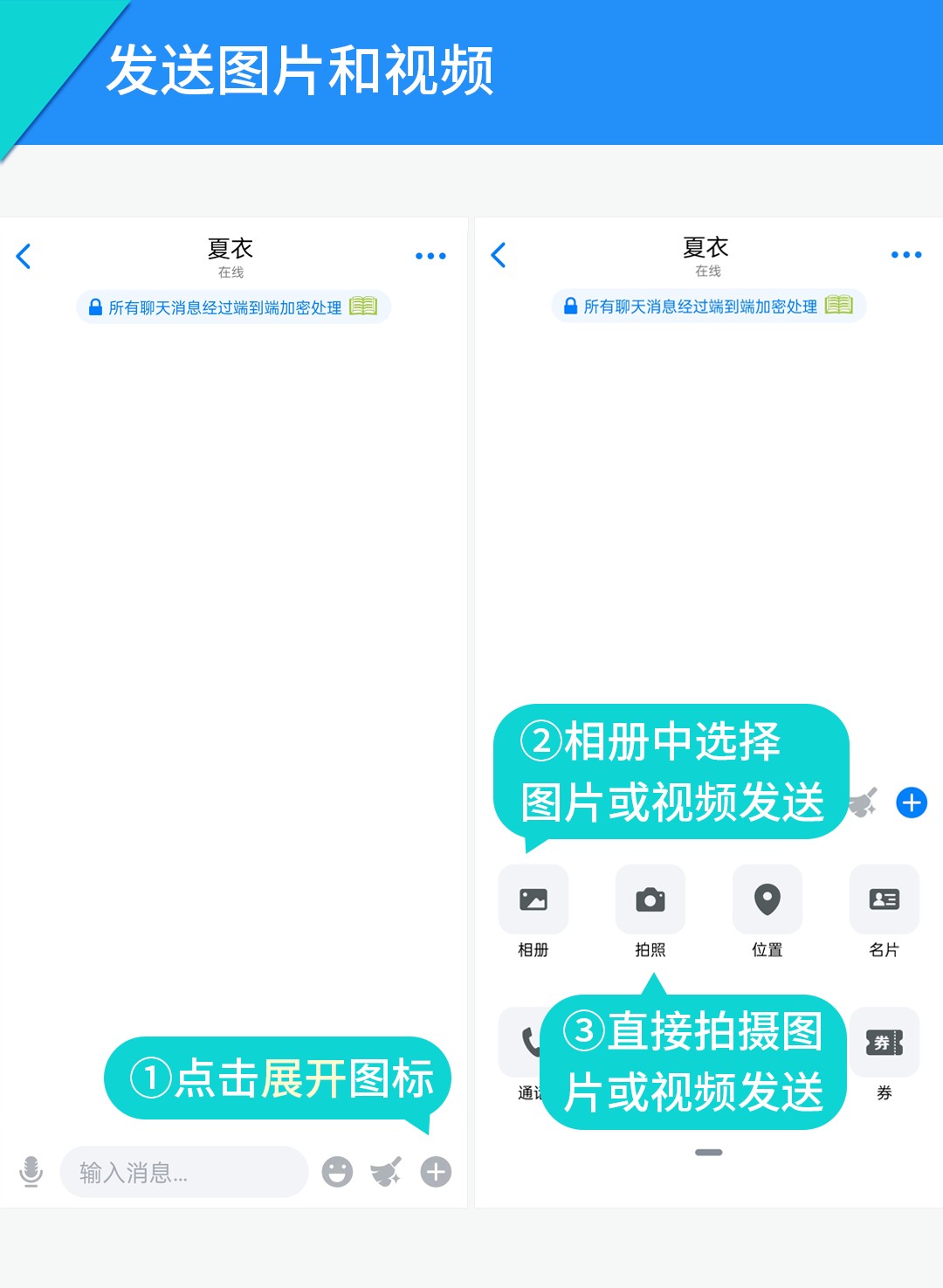 蝙蝠