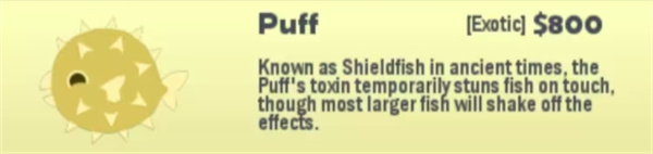 小猫钓鱼有船版本