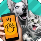 动物语言翻译模拟器(Pet Translator)软件最新版 v1.1
