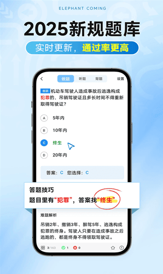 大象驾到Pro下载最新版