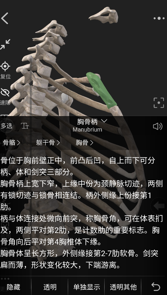 3dbody解剖