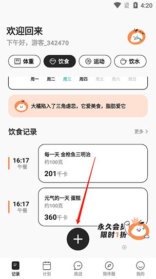 饭橘