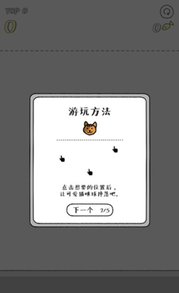 猫咪真的很爆爆