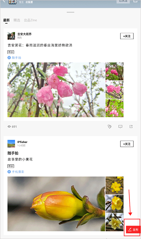 FlipBoard