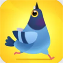 疯狂的鸽子游戏(Pigeon Pop)V22