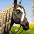 明星马术选手游戏游戏手机版（暂未上线）