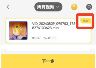 视频格式转换器