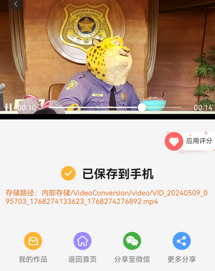 视频格式转换器