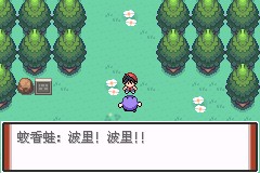 口袋妖怪特别篇赤9