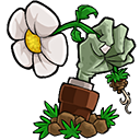 植物大战僵尸仿E版最新版V1.2.9By1