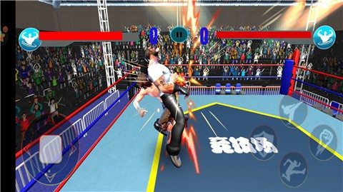 格斗之王中文版