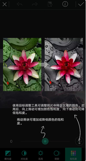 相片大师app最新版