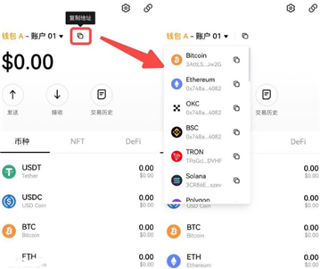 oe交易所的币怎么转到钱包 oe交易所的钱包主地址有多长