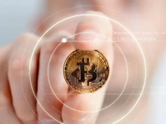 FBX福币交易所官方