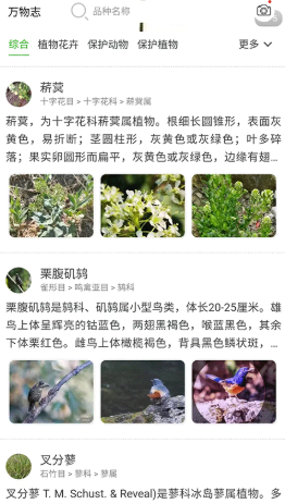 万物志安卓版下载