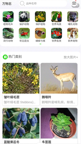 万物志安卓版下载