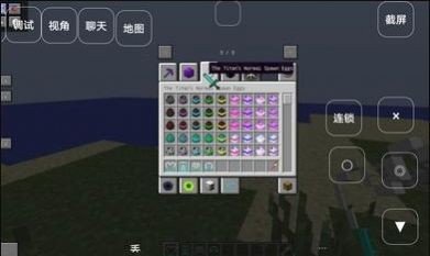 我的世界叶枫DD