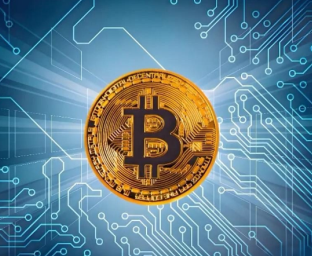 topay官方版下载