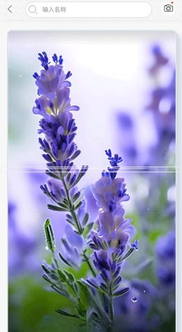 万物志安卓版下载