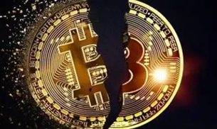 波场交易所app下载