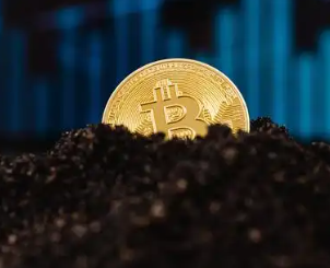 ‌ pnut币交易所下载