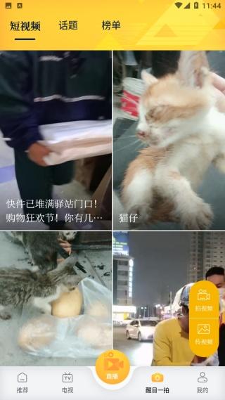 醒目视频app