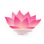 荷花工具箱app官方版