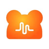 NN语音app最新版
