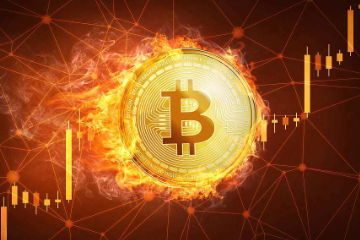 芝麻交易所提现失败怎么回事 芝麻交易所提现失败了多久可以退回 