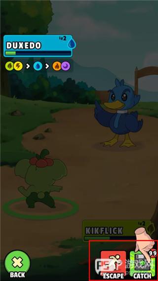 口袋妖怪的世界