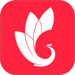 巅峰减重软件 v3.6.1安卓版