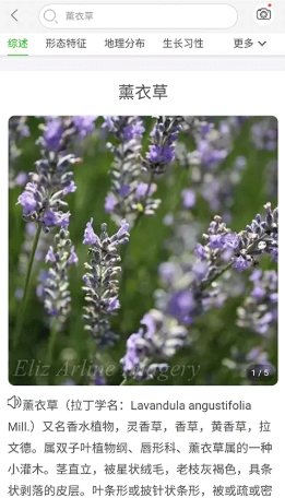 万物志安卓版下载