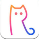 猫九直播安卓版