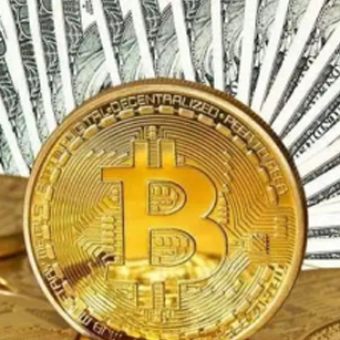 bitdu交易所官方版