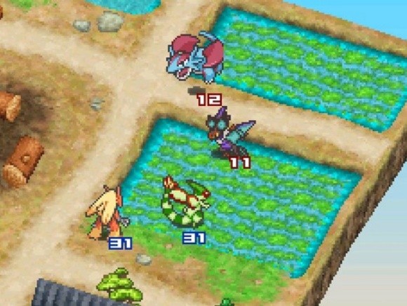 口袋妖怪白金光2汉化版