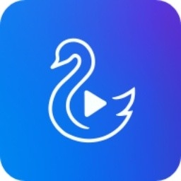 天鹅视频最新版