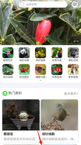 万物志安卓版下载