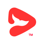 锦书在线官方版体验 v2.32.59.10015安卓版