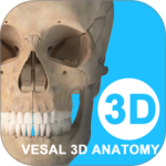 维萨里3D解剖教学app下载 v7.0.0安卓版