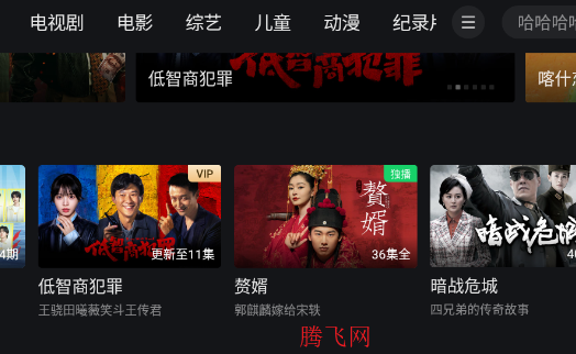 爱奇艺车载版app安装包