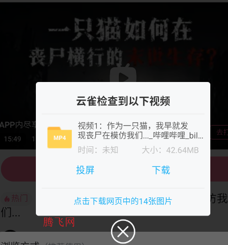 视频下载鸟(原云雀)