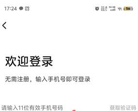 狮桥二手车app