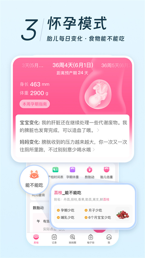 美柚app2025最新版