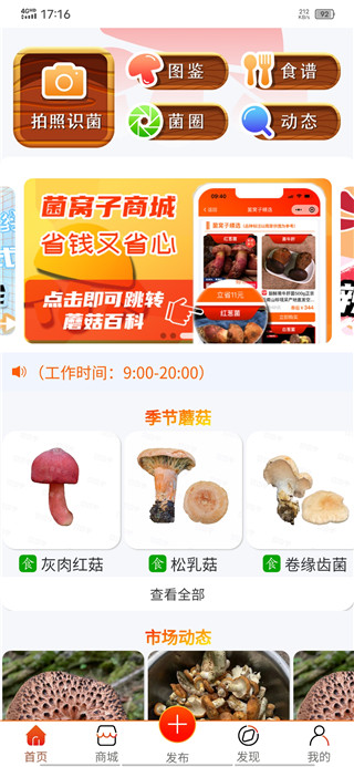 菌窝子app