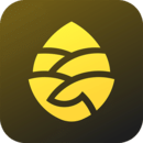 松果出行app安卓2026新版v6.3