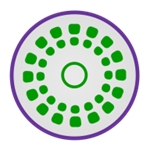 陀螺仪传感器app手机版安装 v3.1.4